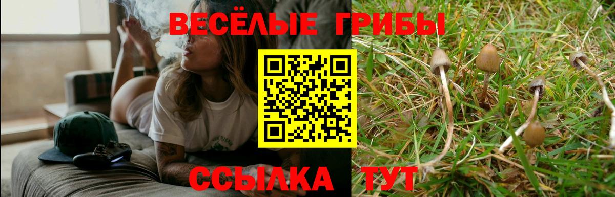 Тихорецк  Галлюциногенные грибы Psilocybine cubensis  Псилоцибиновые грибы Cubensis  Вход с VPN 